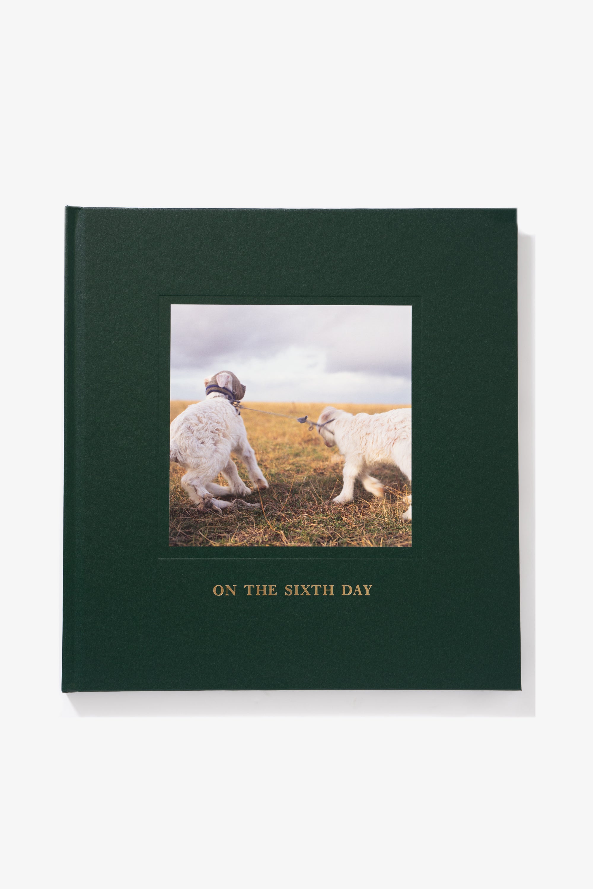 Cover of “The Sixth Day” 